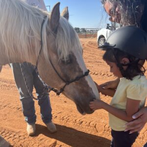 Young child petting a horse