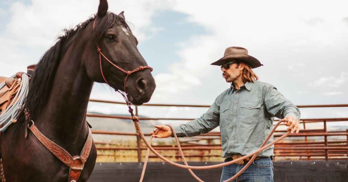 Man near horse holding reigns 